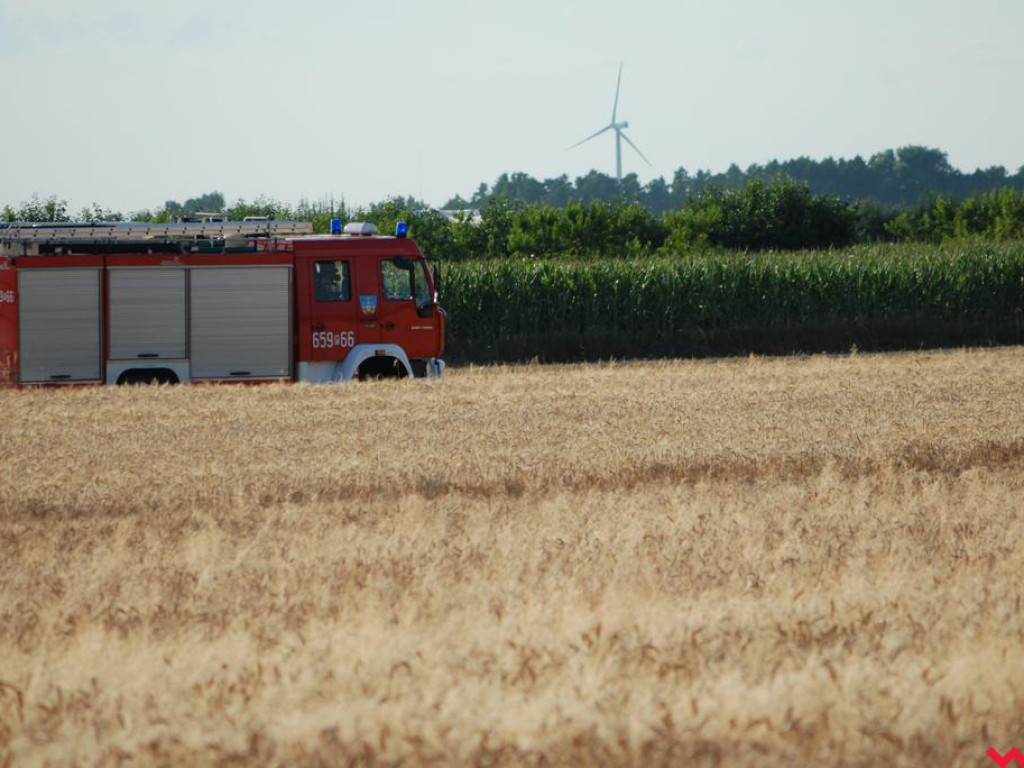 Pożar zboża w Pyzdrach. Ogień gasiło 6 strażackich zastępów