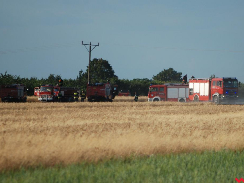 Pożar zboża w Pyzdrach. Ogień gasiło 6 strażackich zastępów