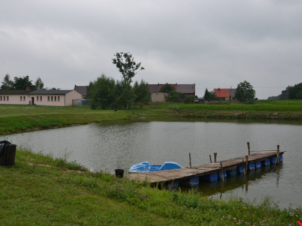 Rybna apokalipsa na stawie w Gorzycach. Wyginęły niemal wszystkie ryby