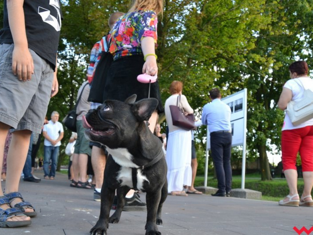 Nowa wystawa śp. Ireneusza Zjeżdżałki na dziesiątą rocznicę śmierci