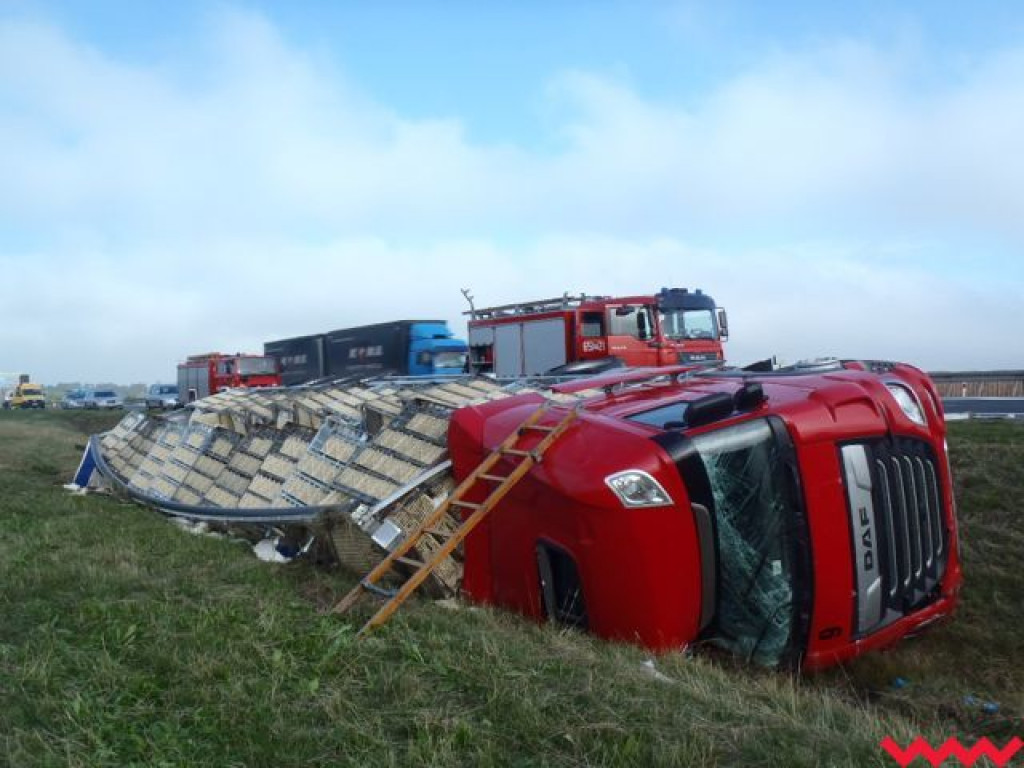 Ciężarówka z sześcioma tysiącami kurczaków wpadła do rowu na autostradzie