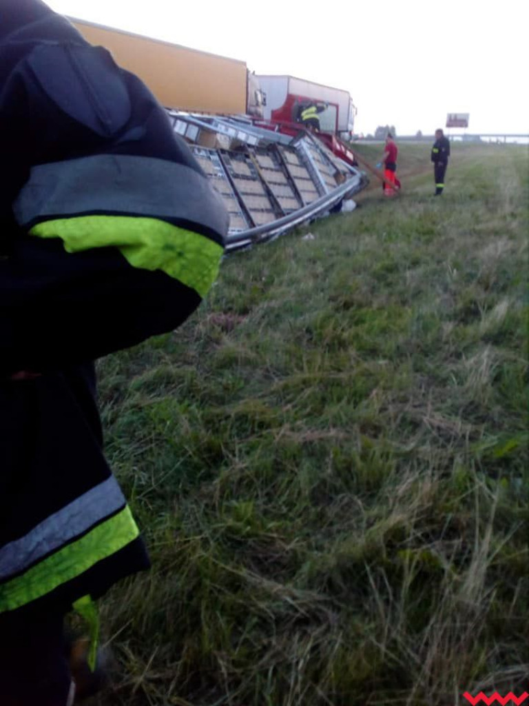 Ciężarówka z sześcioma tysiącami kurczaków wpadła do rowu na autostradzie