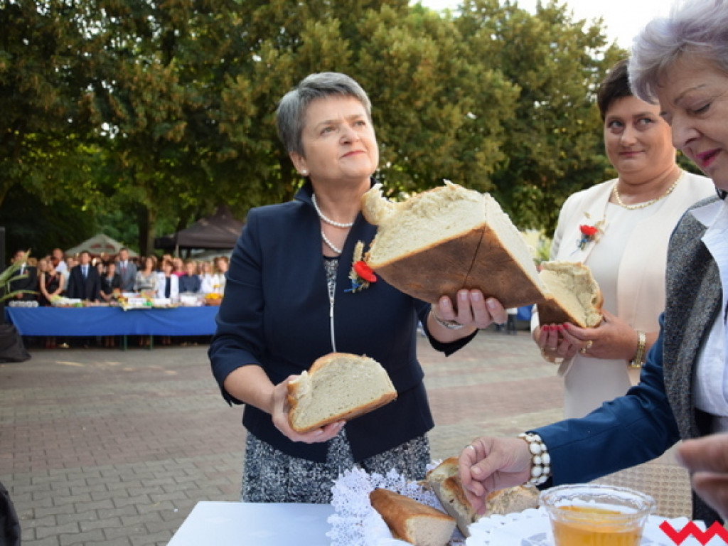Słabe plony i chudsze zwierzaki, czyli dożynki w Kołaczkowie w cieniu suszy