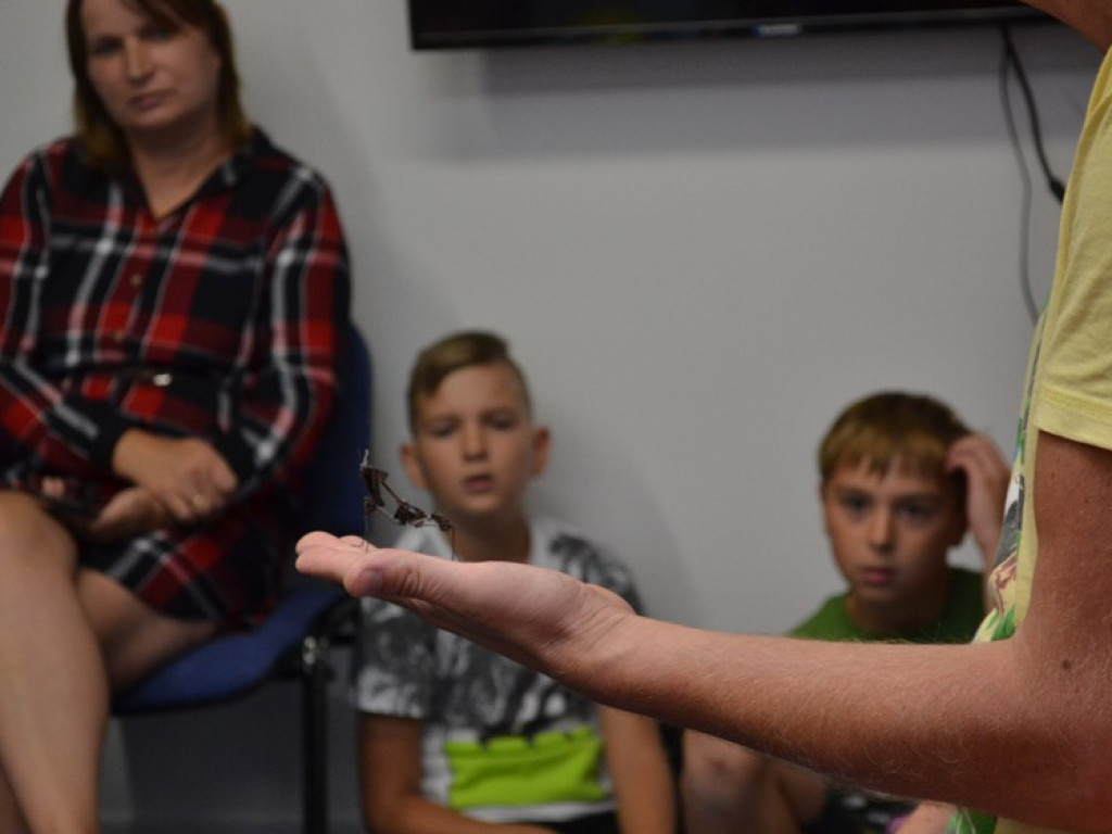 Motyle, ślimaki i inne bezkręgowce na otwarciu Leader School