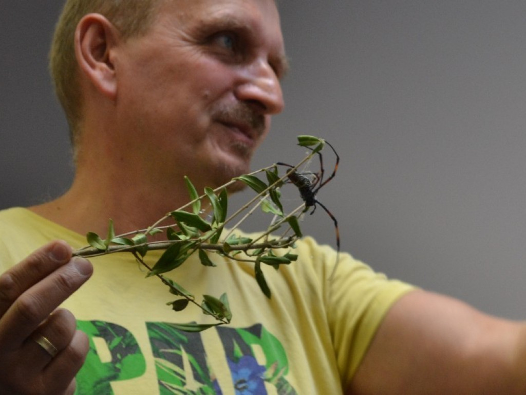 Motyle, ślimaki i inne bezkręgowce na otwarciu Leader School