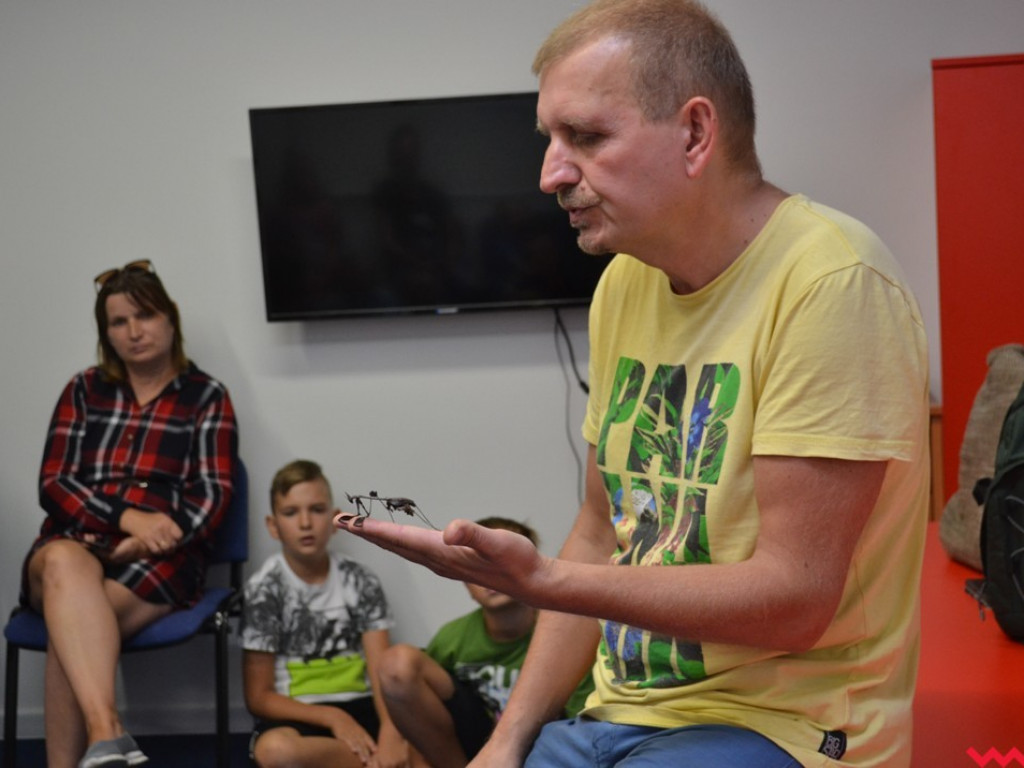 Motyle, ślimaki i inne bezkręgowce na otwarciu Leader School