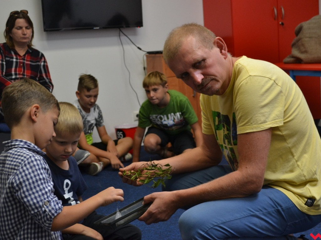 Motyle, ślimaki i inne bezkręgowce na otwarciu Leader School