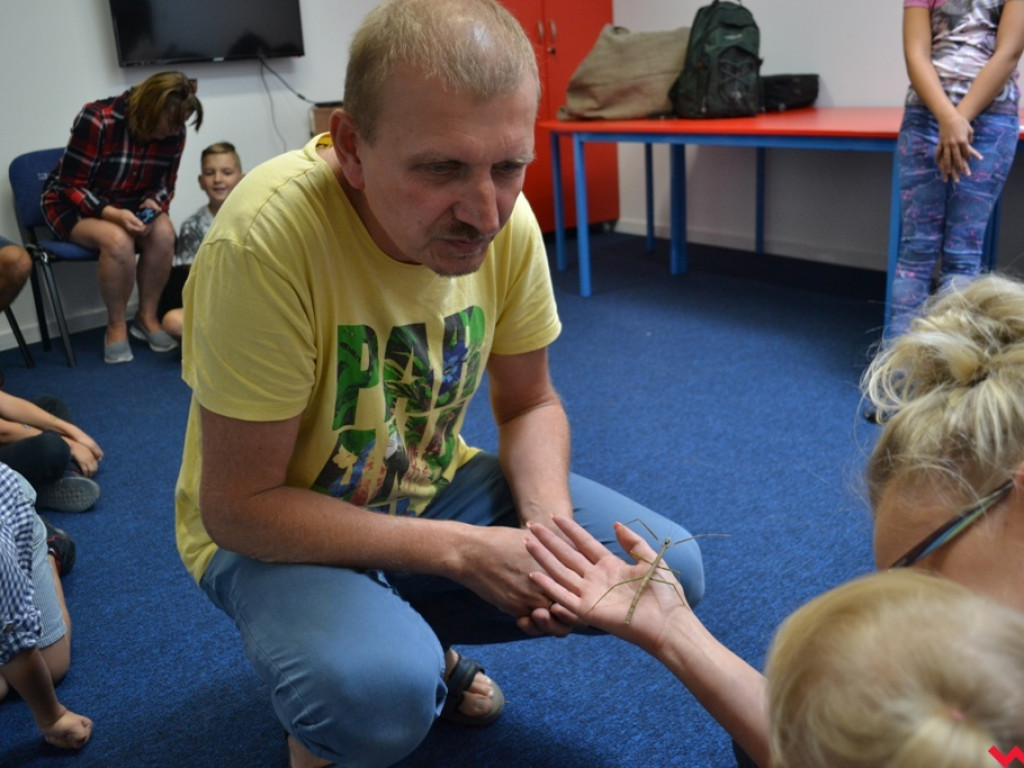 Motyle, ślimaki i inne bezkręgowce na otwarciu Leader School