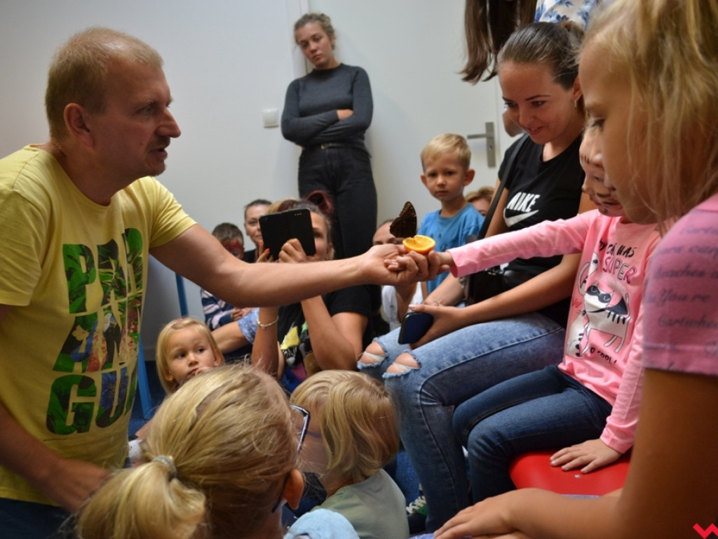 Motyle, ślimaki i inne bezkręgowce na otwarciu Leader School