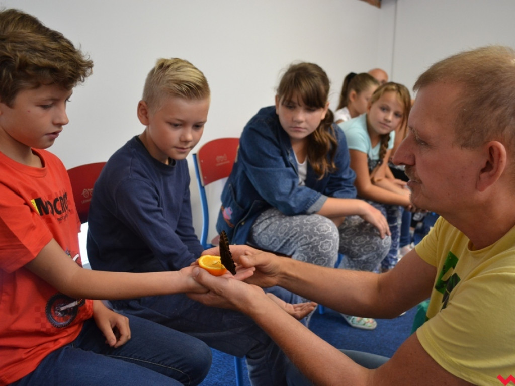 Motyle, ślimaki i inne bezkręgowce na otwarciu Leader School