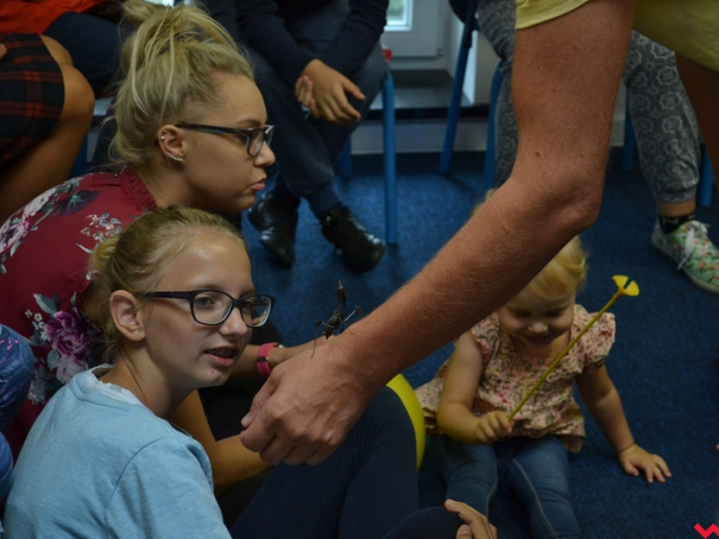 Motyle, ślimaki i inne bezkręgowce na otwarciu Leader School