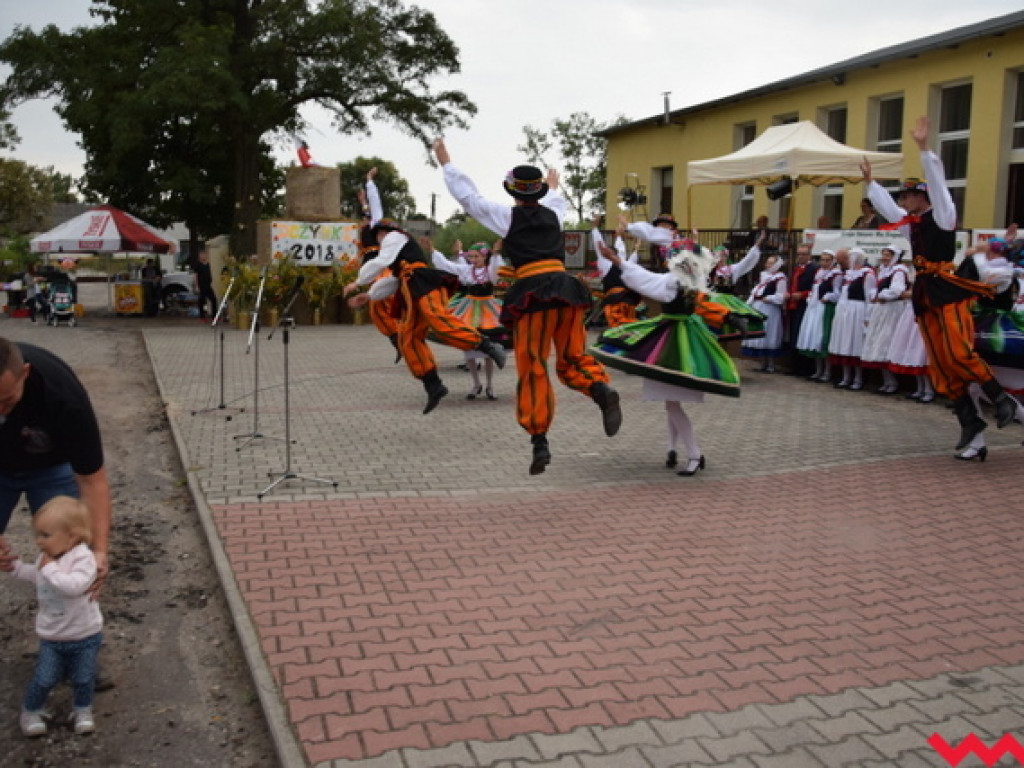 Święto folkloru na dożynkach wiejskich w Bieganowie. Koncert zespołu Ziemia Wrzesińska