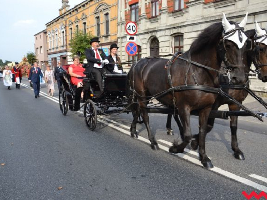 Dożynki z Marylą Rodowicz. Podczas imprezy każdy mógł się poczuć jak VIP!