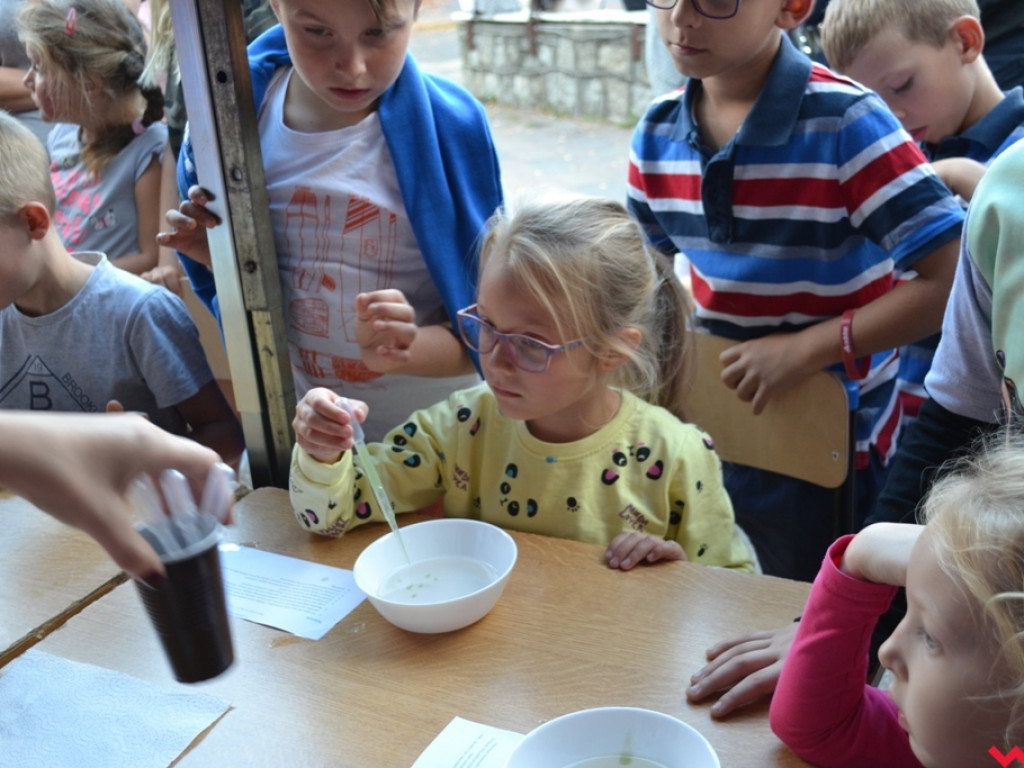 Tak powinny wyglądać lekcje w szkole! Tłumy na pikniku naukowym