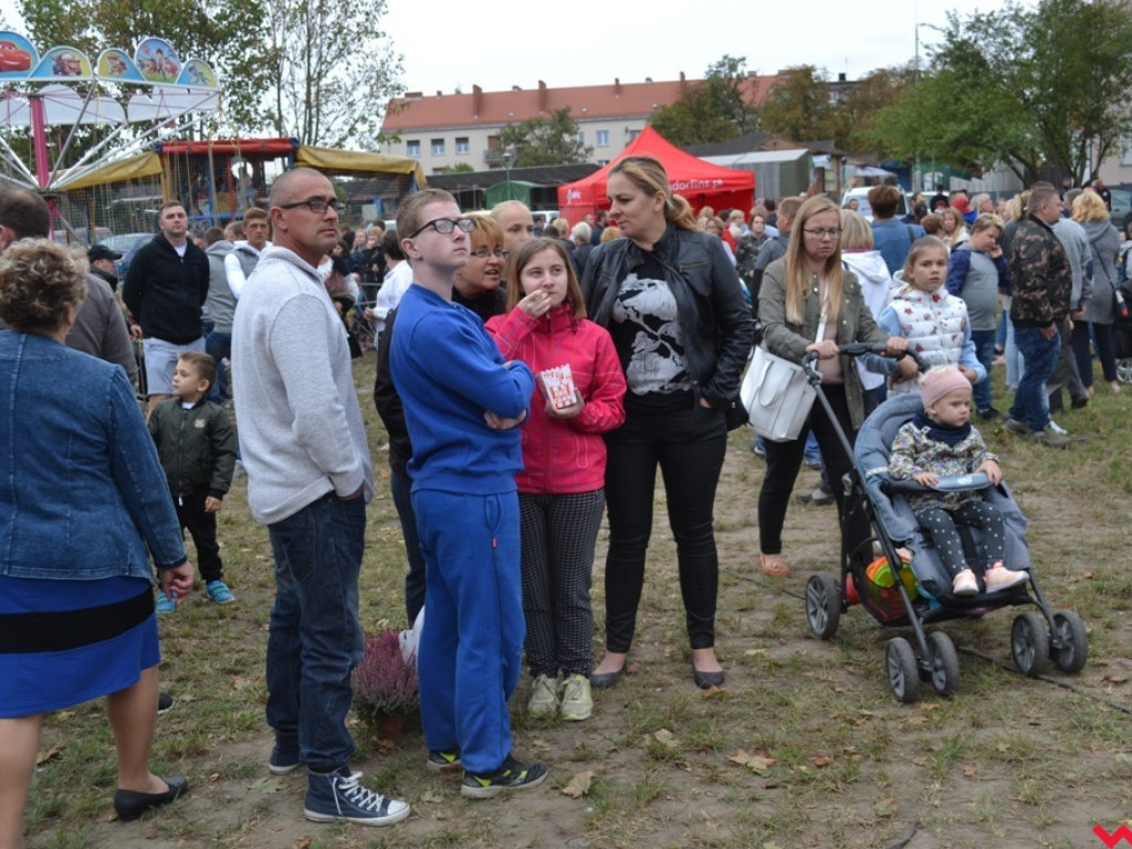 Wrzosowe szaleństwo i podniebne spacery nad Wrześnicą
