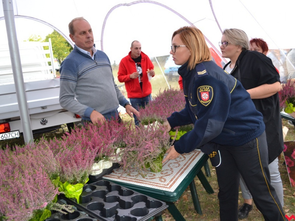 Wrzosowe szaleństwo i podniebne spacery nad Wrześnicą