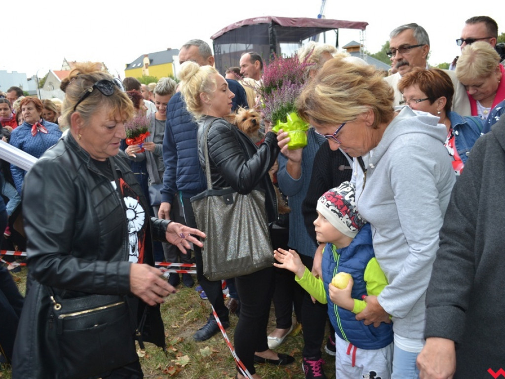 Wrzosowe szaleństwo i podniebne spacery nad Wrześnicą