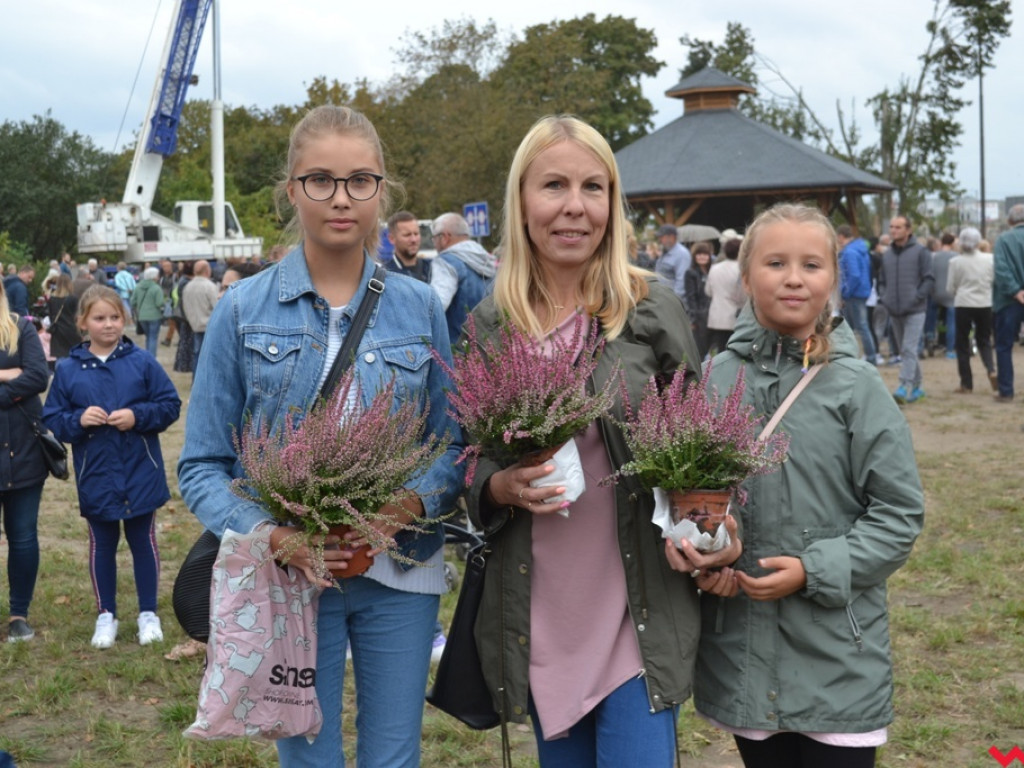 Wrzosowe szaleństwo i podniebne spacery nad Wrześnicą