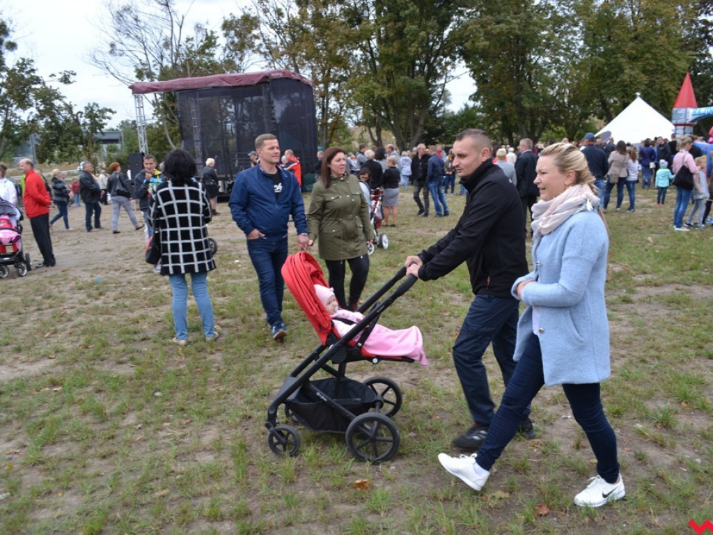Wrzosowe szaleństwo i podniebne spacery nad Wrześnicą