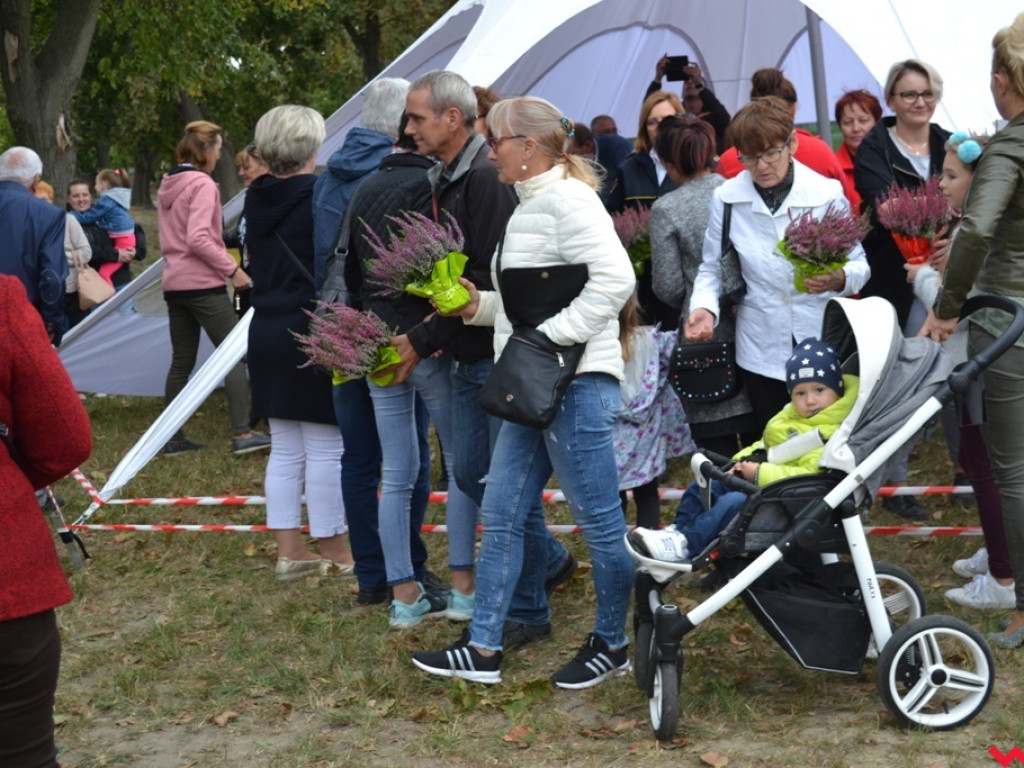 Wrzosowe szaleństwo i podniebne spacery nad Wrześnicą