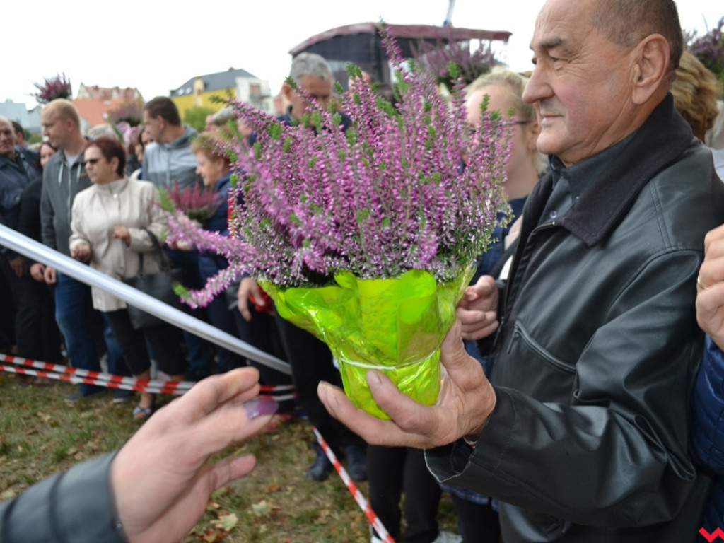 Wrzosowe szaleństwo i podniebne spacery nad Wrześnicą