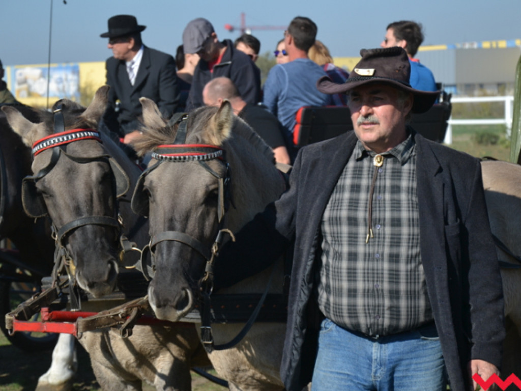 Piękne konie i dobre humory. Udany pierwszy Hubertus Stajni Bierzglinek