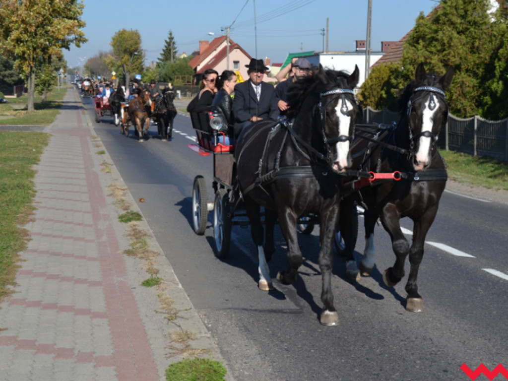 Piękne konie i dobre humory. Udany pierwszy Hubertus Stajni Bierzglinek