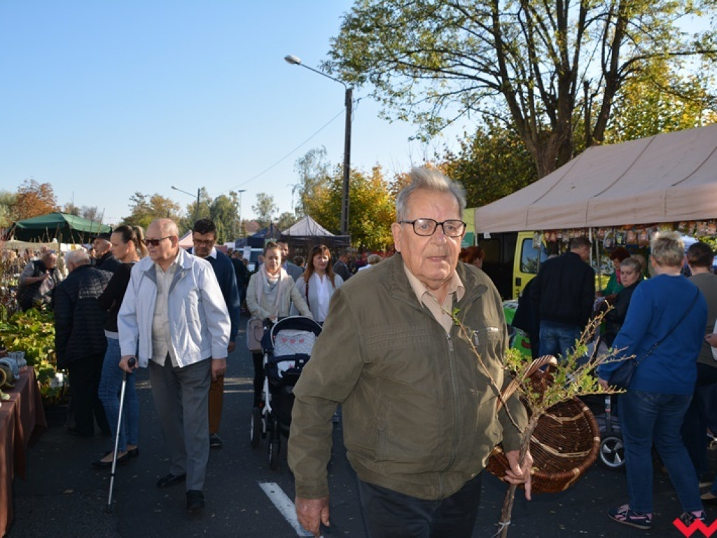 28. Targi Rolnicza Jesień z frekwencją jeszcze większą niż zwykle. Znajdźcie się w naszej wielkiej galerii!