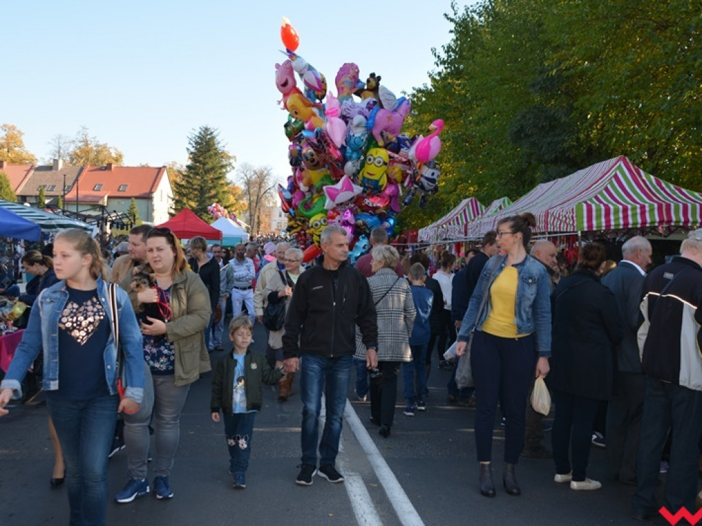 28. Targi Rolnicza Jesień z frekwencją jeszcze większą niż zwykle. Znajdźcie się w naszej wielkiej galerii!