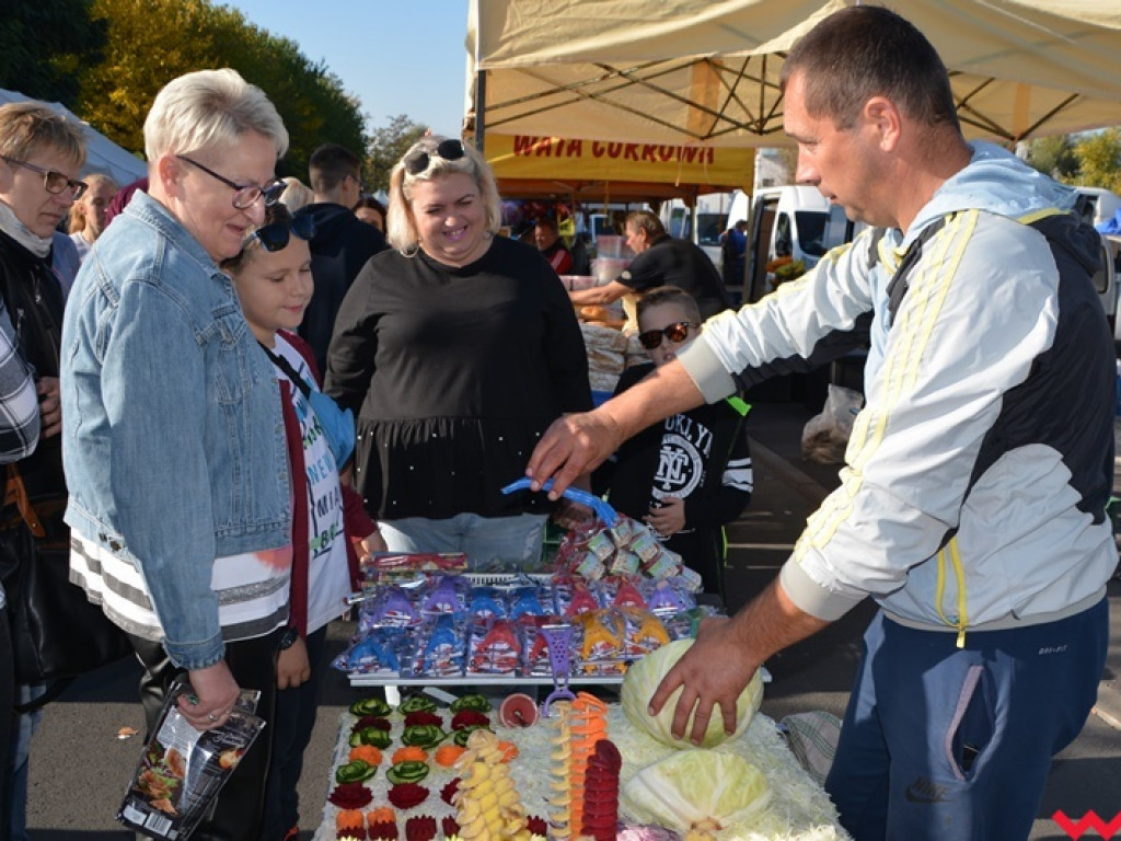 28. Targi Rolnicza Jesień z frekwencją jeszcze większą niż zwykle. Znajdźcie się w naszej wielkiej galerii!