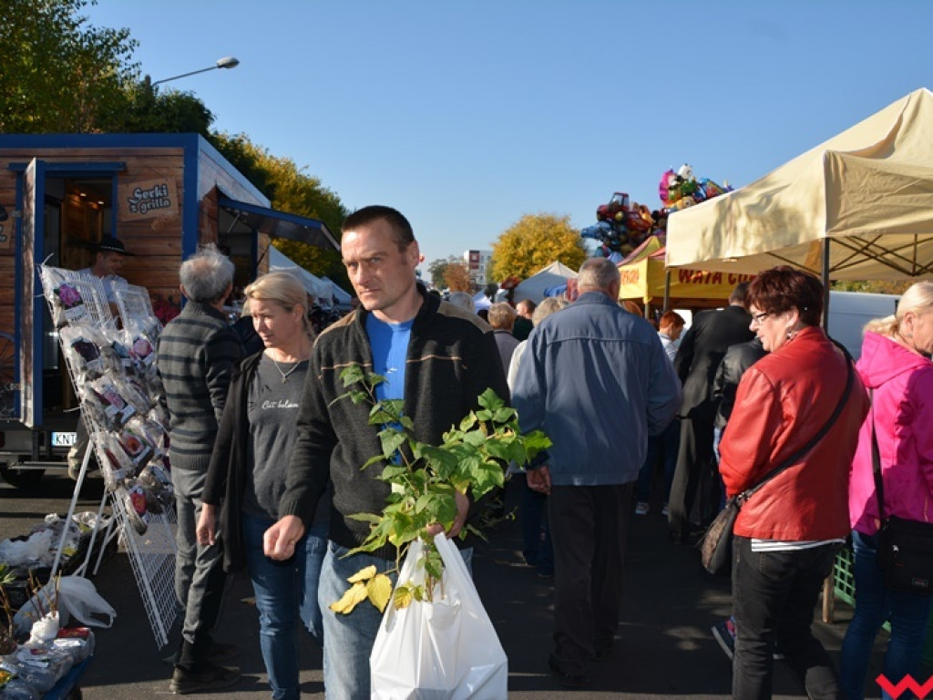 28. Targi Rolnicza Jesień z frekwencją jeszcze większą niż zwykle. Znajdźcie się w naszej wielkiej galerii!