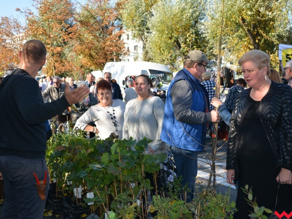 28. Targi Rolnicza Jesień z frekwencją jeszcze większą niż zwykle. Znajdźcie się w naszej wielkiej galerii!