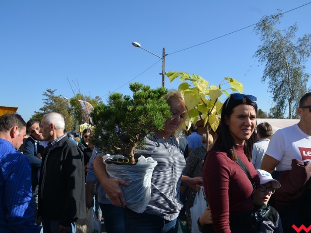 28. Targi Rolnicza Jesień z frekwencją jeszcze większą niż zwykle. Znajdźcie się w naszej wielkiej galerii!