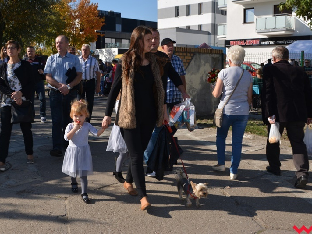 28. Targi Rolnicza Jesień z frekwencją jeszcze większą niż zwykle. Znajdźcie się w naszej wielkiej galerii!