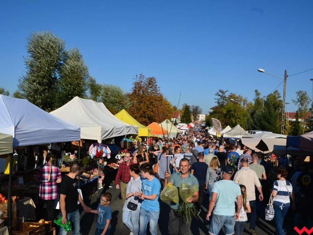 28. Targi Rolnicza Jesień z frekwencją jeszcze większą niż zwykle. Znajdźcie się w naszej wielkiej galerii!