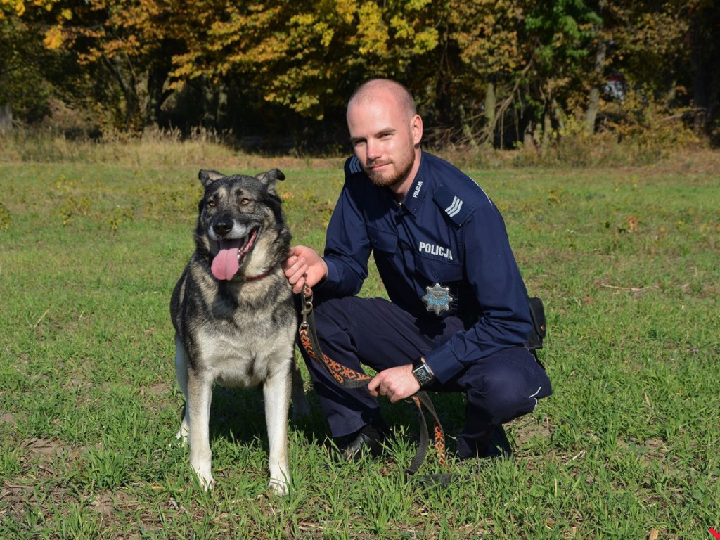 Policjanci zachęcają do adopcji psów z wrzesińskiego schroniska