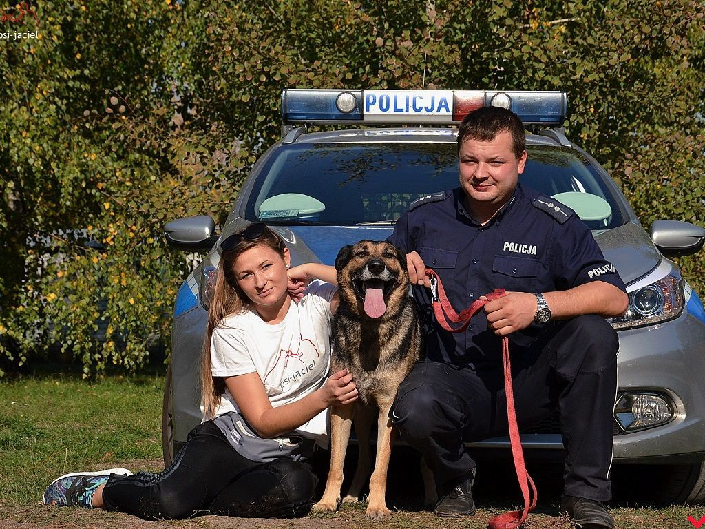 Policjanci zachęcają do adopcji psów z wrzesińskiego schroniska