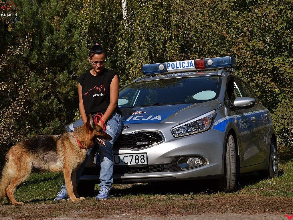Policjanci zachęcają do adopcji psów z wrzesińskiego schroniska