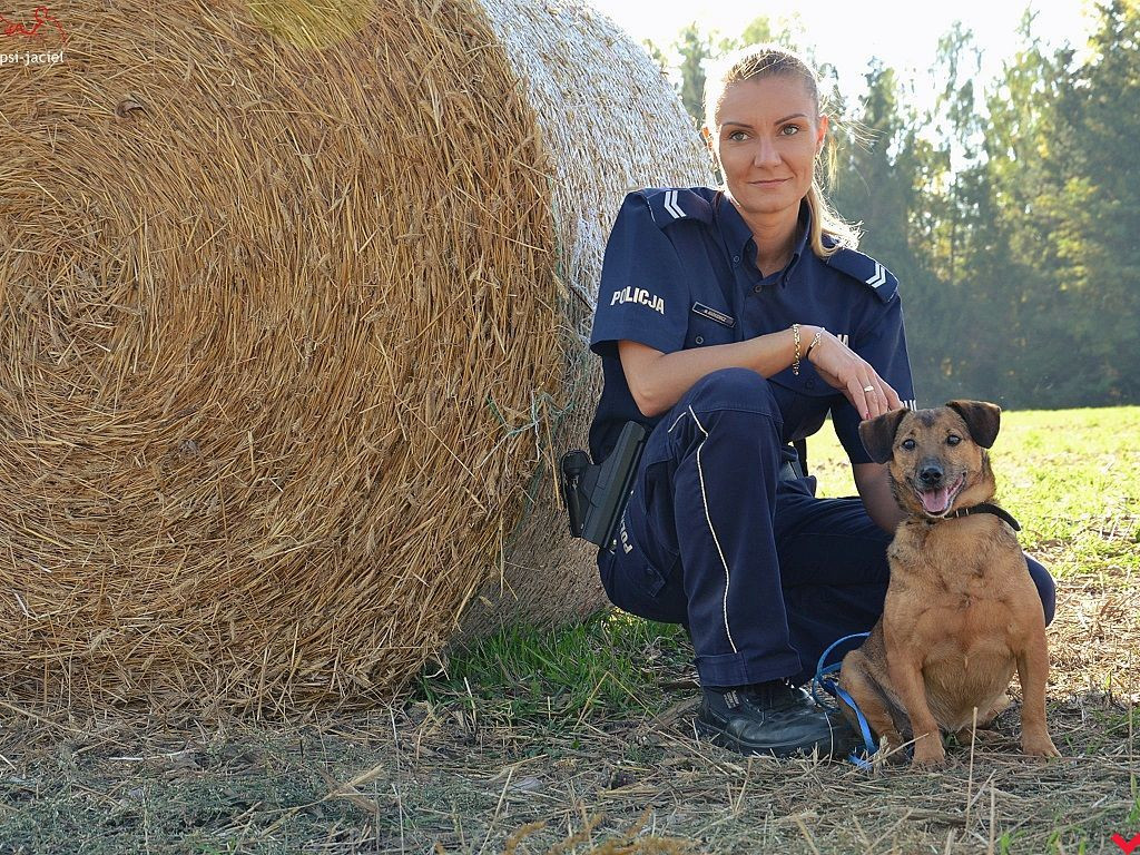 Policjanci zachęcają do adopcji psów z wrzesińskiego schroniska
