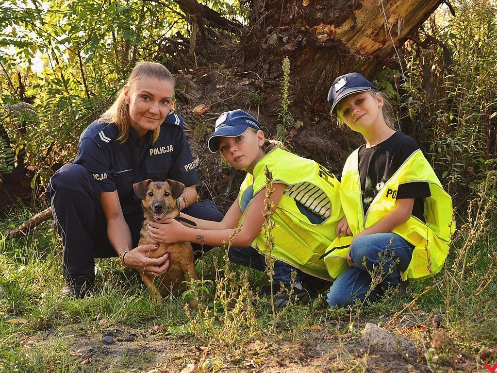 Policjanci zachęcają do adopcji psów z wrzesińskiego schroniska