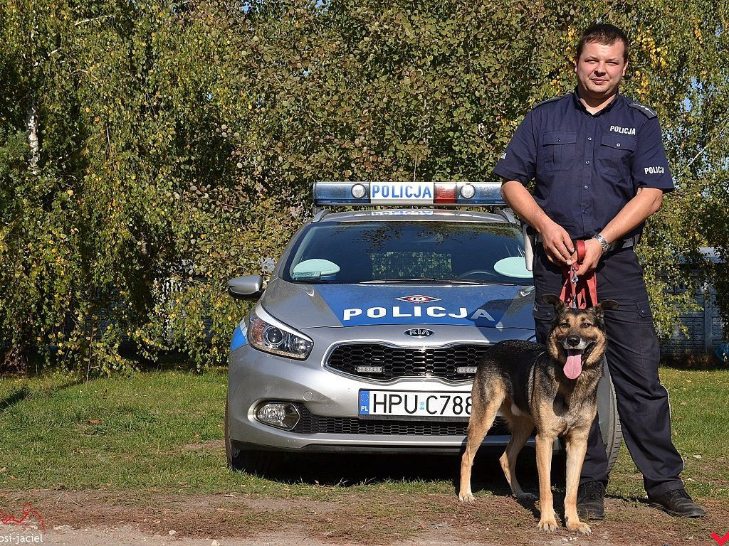 Policjanci zachęcają do adopcji psów z wrzesińskiego schroniska