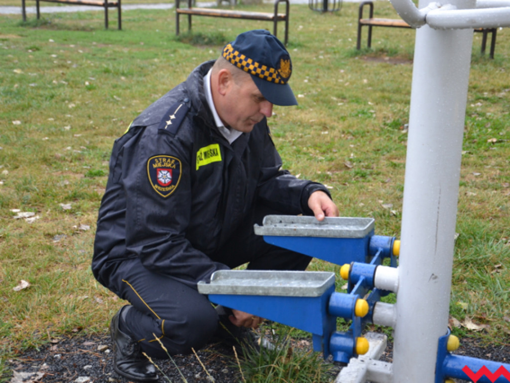 Na czym polega praca strażników miejskich? Sprawdziliśmy to na własnej skórze