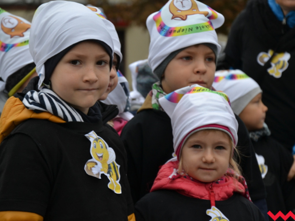 Tańce i śmiechy z poważną sprawą w tle. Dzieci i dorośli razem ratują pszczoły!