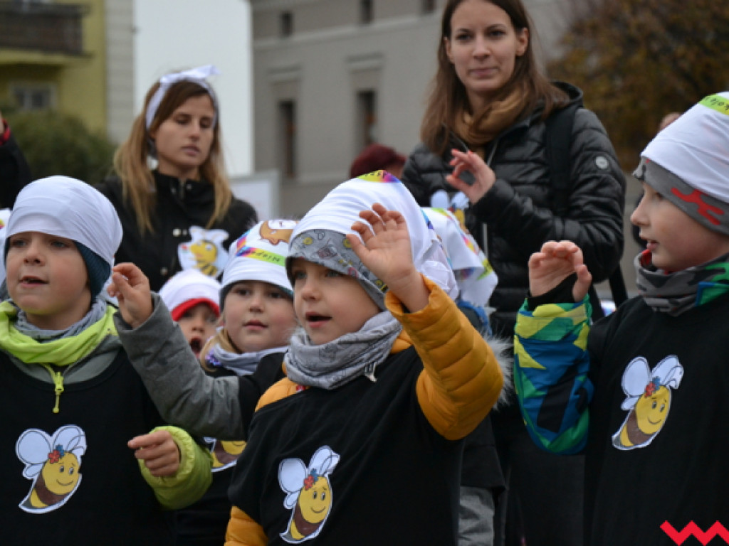 Tańce i śmiechy z poważną sprawą w tle. Dzieci i dorośli razem ratują pszczoły!