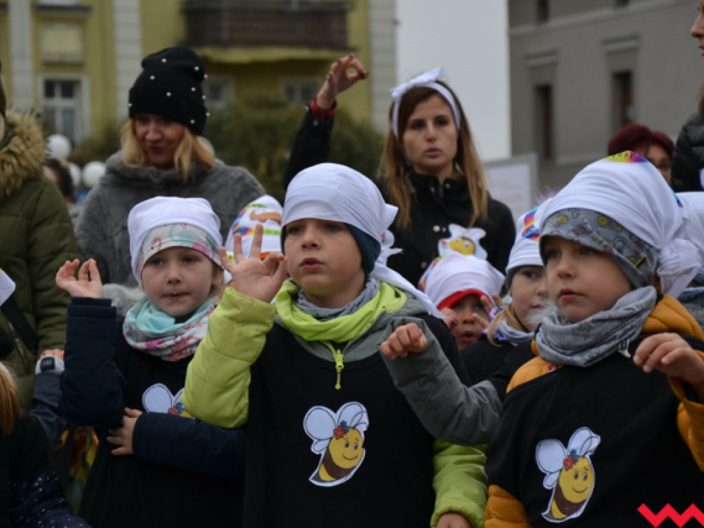 Tańce i śmiechy z poważną sprawą w tle. Dzieci i dorośli razem ratują pszczoły!