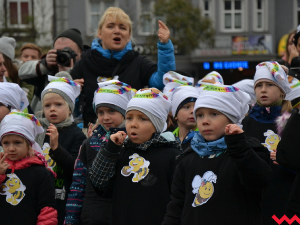 Tańce i śmiechy z poważną sprawą w tle. Dzieci i dorośli razem ratują pszczoły!