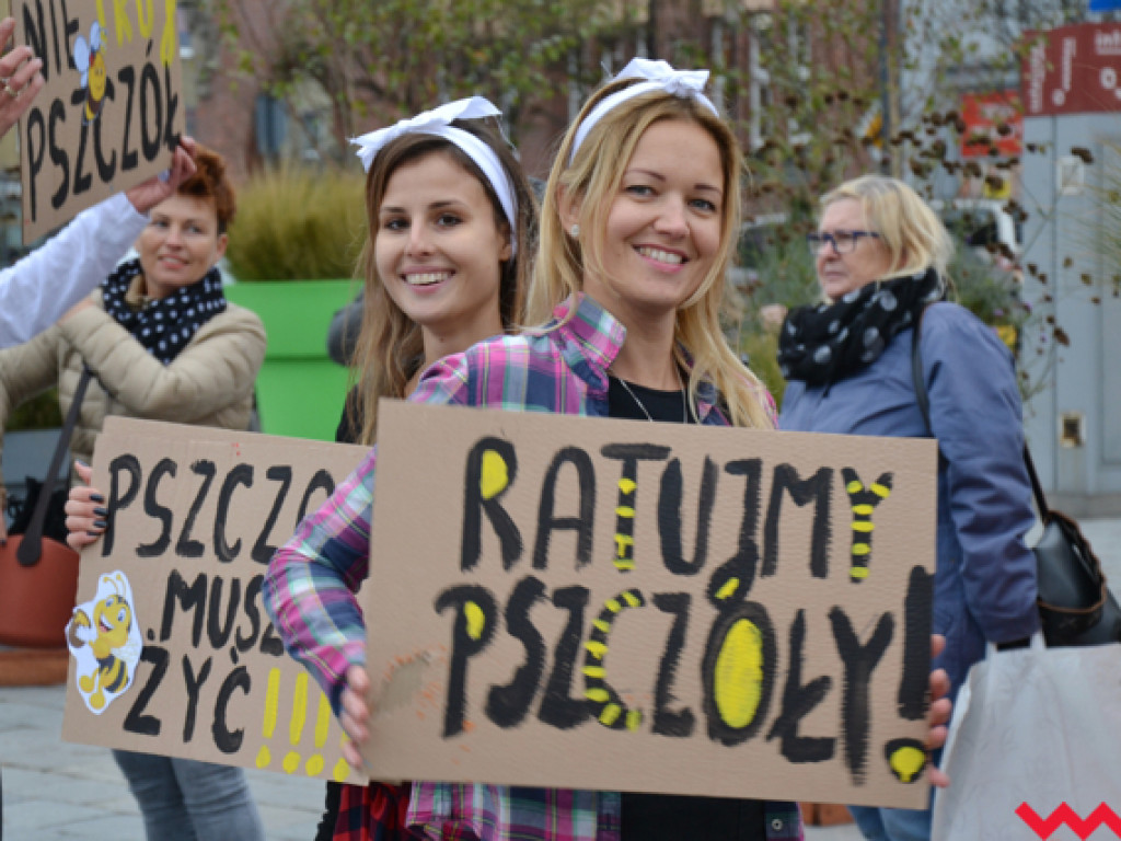 Tańce i śmiechy z poważną sprawą w tle. Dzieci i dorośli razem ratują pszczoły!