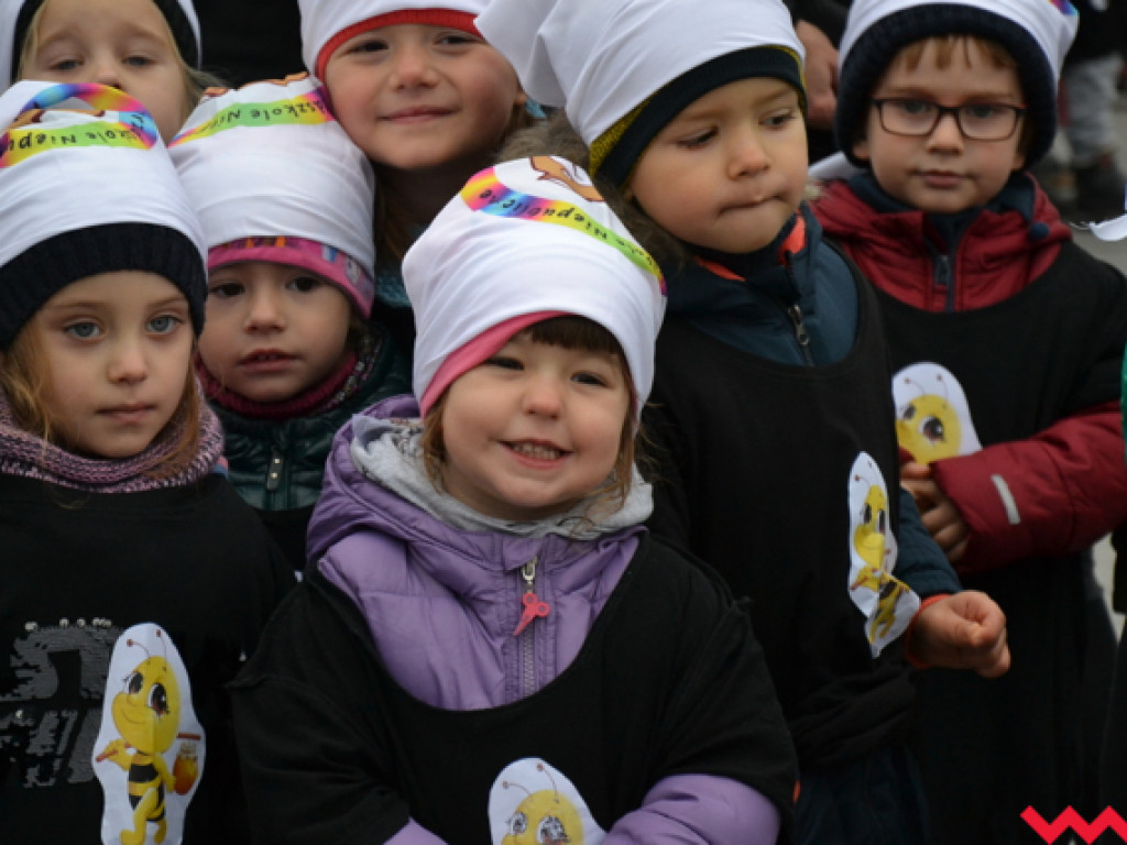 Tańce i śmiechy z poważną sprawą w tle. Dzieci i dorośli razem ratują pszczoły!