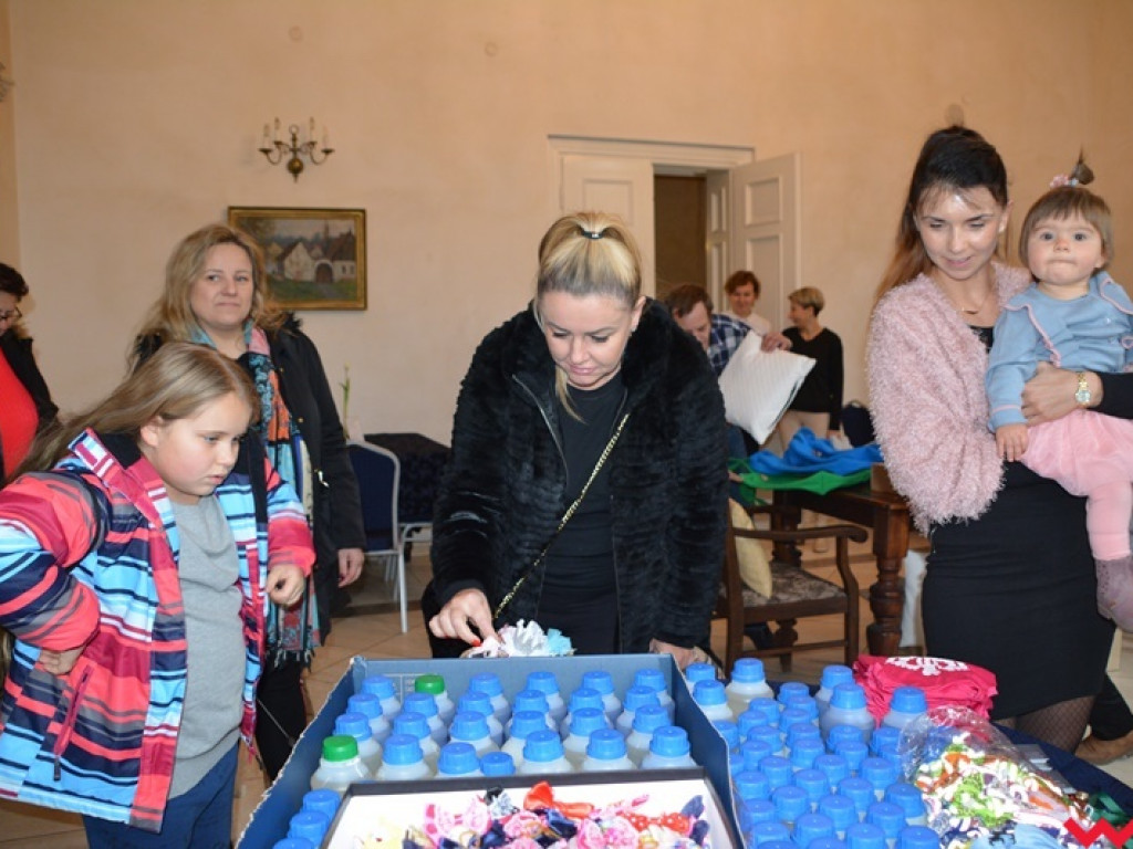 Yorki i ich właściciele spotkali się w Podstolicach, by pomóc psim emerytom