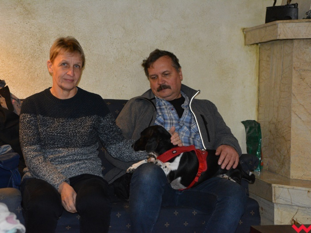 Yorki i ich właściciele spotkali się w Podstolicach, by pomóc psim emerytom
